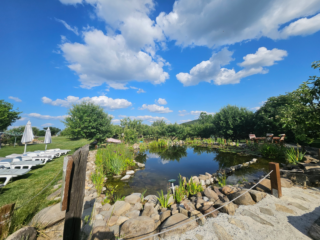 natural pool at calla retreat eco retreat bulgaria
